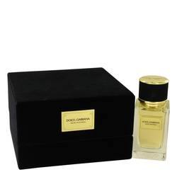 Dolce & Gabbana Velvet Patchouli Eau De Parfum Spray By Dolce & Gabbana - Eau De Parfum Spray